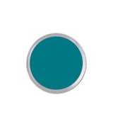 Behr The Real Teal Semi-Gloss Enamel Exterior Paint ($31)