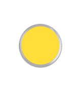 Benjamin Moore Bright Yellow Sample ($7)