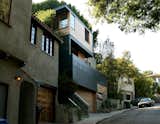 Outdoor, Front Yard, Trees, and Raised Planters Exterior  Photo 9 of 11 in Stacked House by ANX / Aaron Neubert Architects
