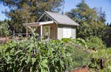 A production garden and chicken coop by Arterra Landscape Architects
