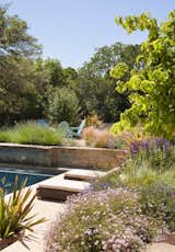 Retaining walls create a series of terraces, according to the grades set by the oaks.

Here a seating area rises above the pool.  Water spills from the stone wall into the pool.  

By Arterra Landscape Architects. Photo by Michele Lee Willson  Photo 5 of 7 in Homestead on Whiskey Hill by Arterra Landscape Architects