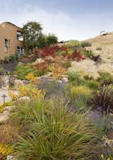  Photo 7 of 8 in The Painterly Approach by Arterra Landscape Architects