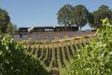 Environmental sustainability was integral to the design. Solar panels pepper the front of the building. Photo by Andrea Johnson. Read more about the design of the winery at imbibemagazine.com/modern-winery-design-sokol-blosser