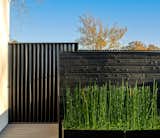 Outdoor, Flowers, Back Yard, Hardscapes, Walkways, Vertical Fences, Wall, Gardens, Garden, Wood Fences, Wall, Shrubs, Horizontal Fences, Wall, and Grass  Photo 19 of 22 in Court House by KUBE Architecture