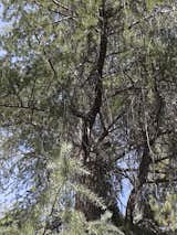 Pierce College, Woodland Hills, CA