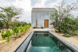 Outdoor, Back Yard, Shrubs, Large Pools, Tubs, Shower, and Trees  Photo 1 of 7 in La Casa Pequena by Boutique