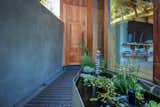 Outdoor and Walkways  Photo 4 of 9 in Laurel Canyon Boxhouse by Boutique