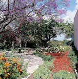 #weizmann #house #erichmendelsohn #iconichouses