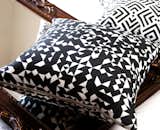 Savannah Hayes Decorative Pillows