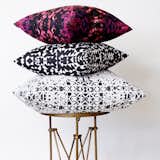 Savannah Hayes Decorative Pillows