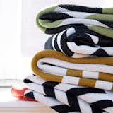 Savannah Hayes Throw Blanket Collection