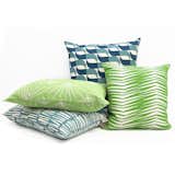 Tropical colour selection of Skinny laMinx pillows.

L-R: Woodpile, Palmetto, Aperture, Fronds

Shop online: 
https://skinnylaminx.com/product-category/decor-pillows/pillows/