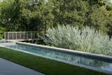 Projecting over the top of the existing slope, the lap pool and spa add valuable real estate to the shallow upper terrace adjacent to the home.