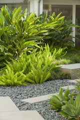 Bold massed plantings in the courtyard.