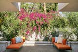 Lush, tropical landscapes designed by Judy Kameon blanket the Parker Palm Springs.