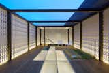 Outdoor, Shrubs, Hardscapes, Decking Patio, Porch, Deck, Grass, Rooftop, and Wood Patio, Porch, Deck Translucent floor planks allow light to filter through a skylight in the kitchen below.  Photos from A Knitting Mill in San Francisco Becomes an Unbelievable Loft For Two Art Collectors
