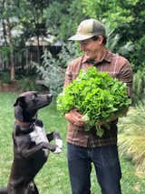 Hagerty and his dog, Burdock, harvest vegetables from their home in California. A firefighter by day, Hagerty is an avid home gardener and operates a neighborhood food stand when he's not filming gardening tutorials for his YouTube channel.