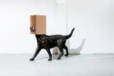 “Boolean” And (dog), 2017 
Nucleo_Piergiorgio Robino+Edoardo U. Trave
welded, polished, bronze plates on vintage sculpture
136 x 45,5 x 110h cm 
Unique piece