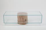Coffee Table No. 4 in Sycamore Wood and Glass -- The glass box is enclosed on all six sides.  The sycamore stump enters through a machine cut circular hole at the bottom of the glass box so as to allow the top sheet to rest gently on it without any mechanical fixings.