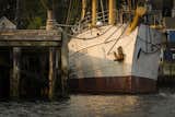 Tall Ship "Picton Castle", Lunenburg Harbour, Nova Scotia  Photo 5 of 74 in The Sea ... by Jamie Morrison Photography