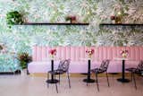 Holy Matcha in San Diego sports wall adorned with bright, floral wallpaper than tranforms the company's retail space.