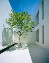 Double-height courtyard. Tetsuka House by John Pawson. © Hisao Suzuki.

upinteriors.com/go/sph408