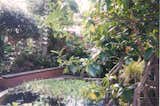 The University of Michigan Botanical Gardens by Alden B. Dow