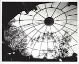 Kalamazoo Nature Center interior  Photo 4 of 8 in The Domed Structures of Alden B. Dow by Alden B. Dow Home and Studio -  Mid-Century Modern www.abdow.org