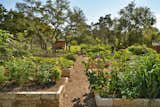 Community Garden in the Denizen community in Austin, Texas.