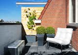 Rooftop terrace with boxwood shrubs in off-the-shelf planters. Chrome cube puffs and white lounge chair by DOM. Grey planter (with Vitis vinifera ‘Bianca’ grape vine) by MCollections.