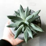 Go green