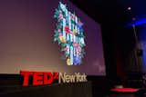 Art direction provided for TEDxNewYork 2016 by TBWA. The theme of this year's event was "Down the Rabbit Hole."