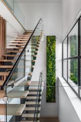 Staircase, Wood Tread, Glass Railing, and Wood Railing Green wall  Photo 11 of 18 in The Clifton House by smpl Design Studio