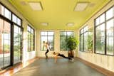 Freeform gym with 10ft windows and Regupol Aktiv rubber flooring.