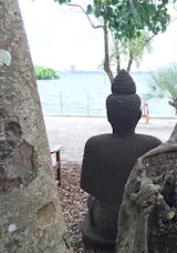 Marie Selby Gardens is a great place to learn about historic homes & gardens.  Selby.org