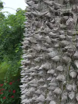 Marie Selby Gardens is a great place to learn about historic homes & gardens.  Selby.org