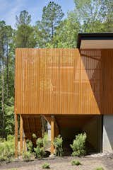 The Cypress veil facing the approach street.  Photo 8 of 11 in The Privacy House by Arielle Condoret Schechter, AIA: Simple, Modern, Net Zero by Kim Weiss