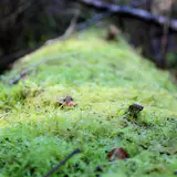 Materials should be used in uncomplex ways and what could be less complex than if every system performs a specific function?