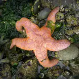 Although natures colors can be bold, it is always with a purpose and a function that is rooted in it's surroundings.