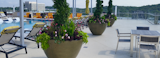 The Encore - Standing Out with Concrete Planters