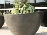 Residential Large Planters