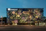 Thinking Outside The "Big Box" At Liverpool Insurgentes, Mexico City