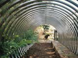 The stainless steel tunnel provides a passageway for children to run from one yard to another without entering adjacent vehicular space. A stone plinth anchors the tunnel, hosts a child height gathering spot, and curbs parked vehicles. Ferns, bamboo and wild California grapevine  add storybook ambiance to the structure.