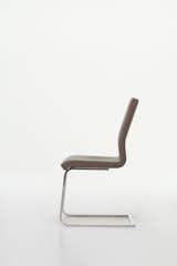 June Dining Chair by Pezzan