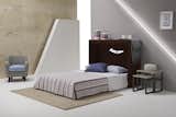 Wally  Wall Bed