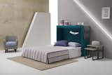 Wally  Wall Bed