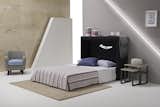 Wally  Wall Bed