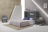 Wally  Wall Bed