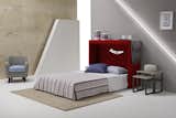 Wally  Wall Bed
