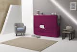 Wally  Wall Bed